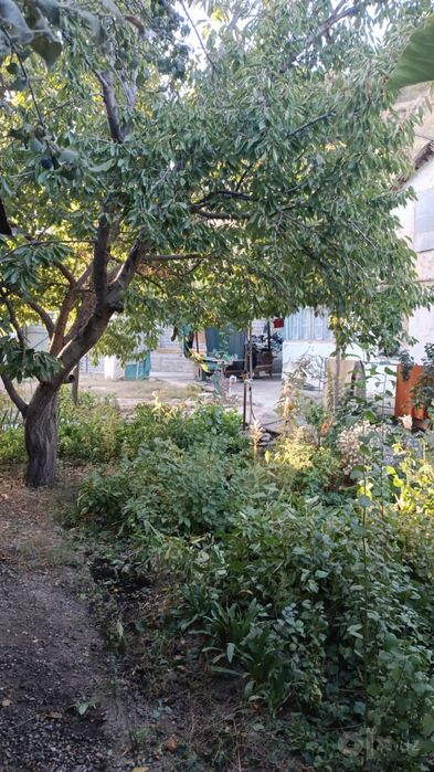 Продается дом в аранче