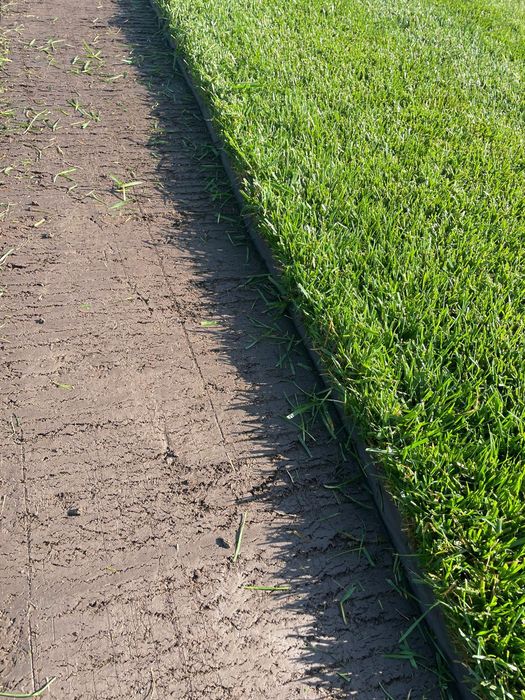 Servicii pentru gradina ta