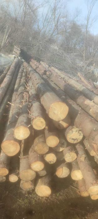 Căpriori de vanzare lungime 5 si 6 m