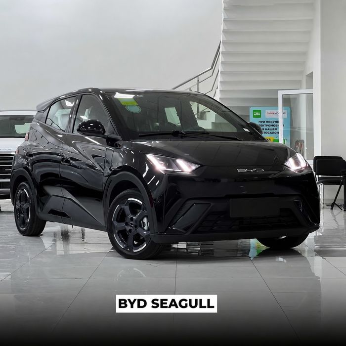 Переднее лобовое стекло на BYD Seagull.