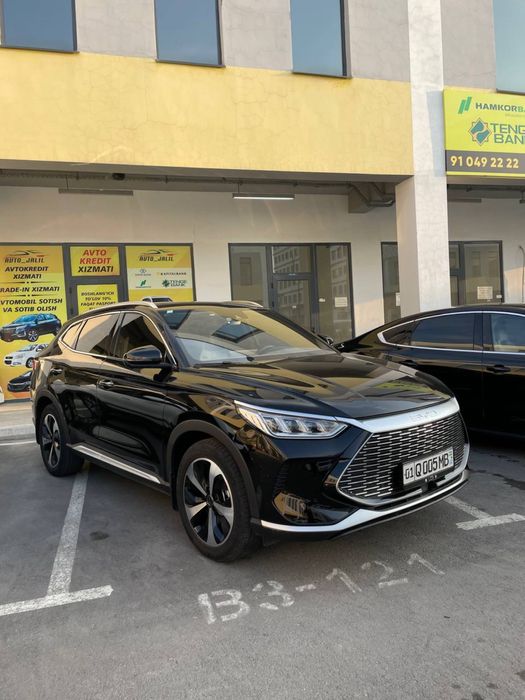 Song plus gibrit tozza kraska