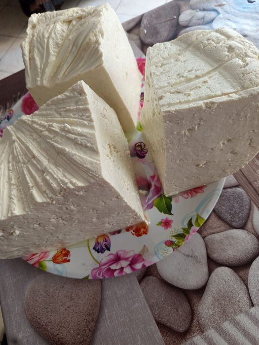 Telemea oaie& capră