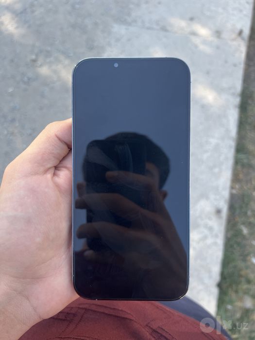 iPhone 13 pro max
