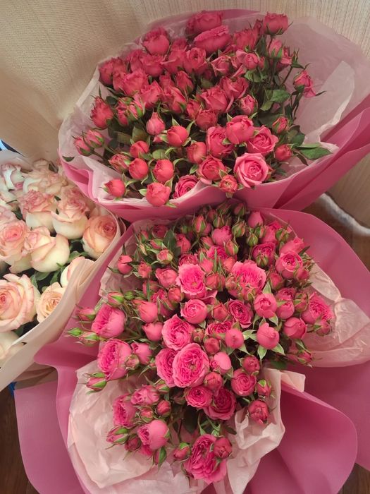 Продам цветы свежие