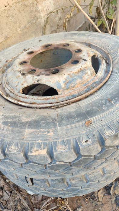 Zel Deska bolan  6dona