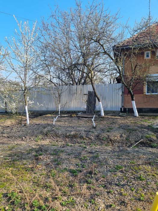 Casa si doua livezi in localiatea Somoscheș
