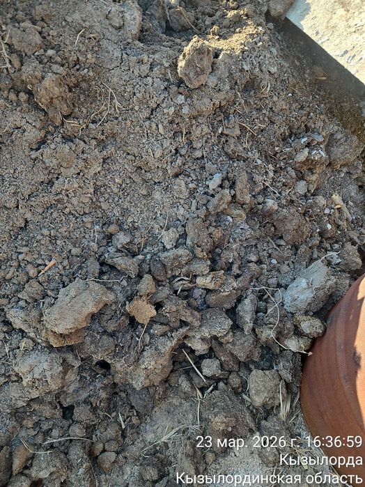 Көң қаппен /жықы/. Навоз в мешках /конский/