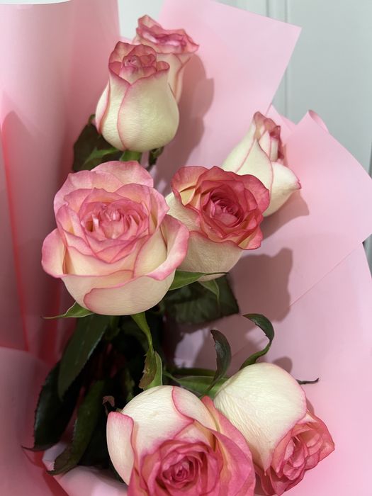 Цветы розы свежие 7 шт