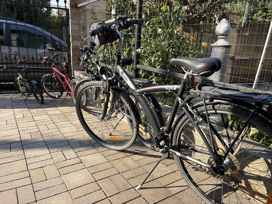 Biciclete de oras pentru familie