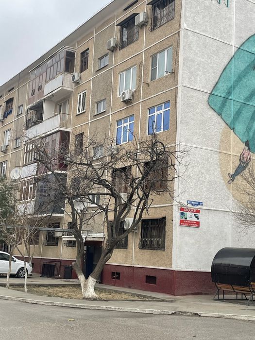 Berter 2 yoki 3xonalikga pulini kelishamiz