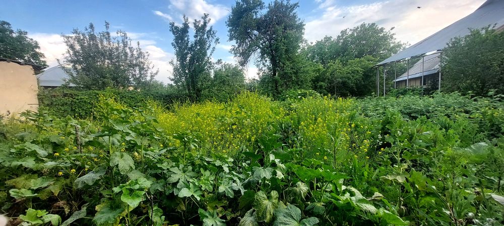 Продается 4-х комнатный жилой дом