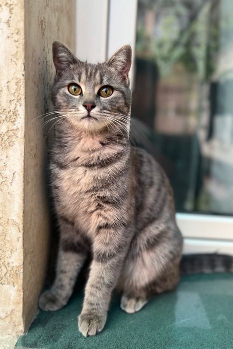 Mushug ona bolasi bilan 1.5 yosh bolasi 10 kunlik