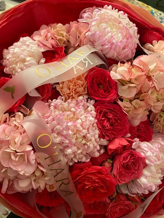 Samsung galaxy fe20s