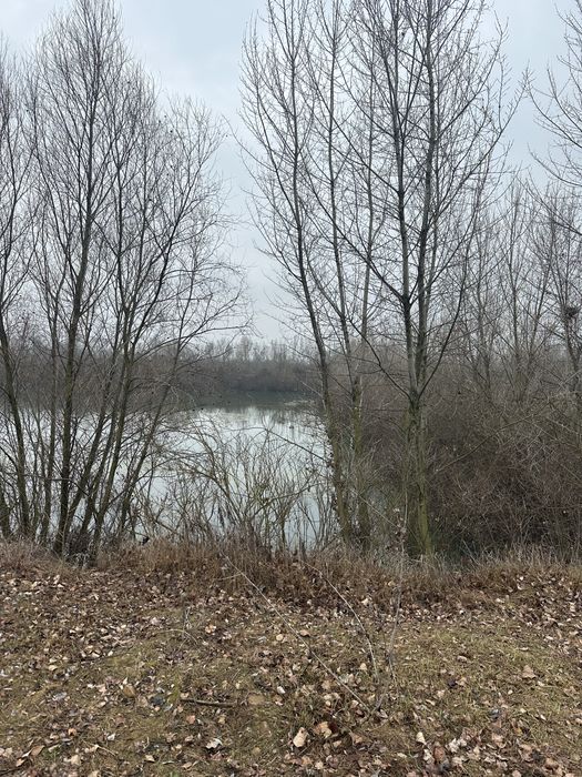 Lac de pescuit balta