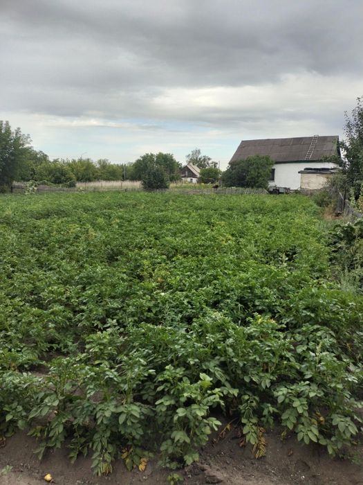 Продам дом в п.Долинка (ГРП)