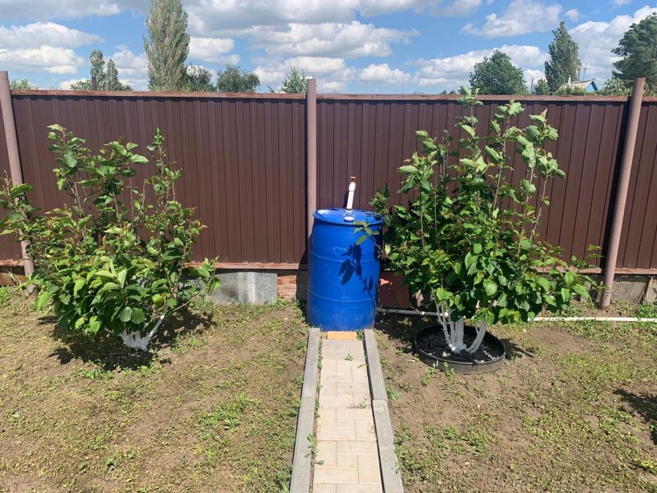 Продам дачу в Акжар 1