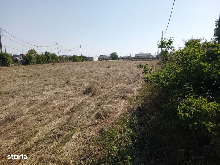 Teren Grigorescu / strada Apateului (de inchiriat / închiriat)