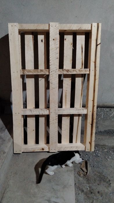 Paddonlar istalgan turdagi