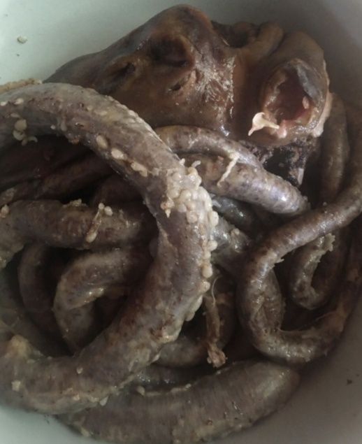 Kalla pocha tozalash hizmati. Калла поча тозалаш хизмати