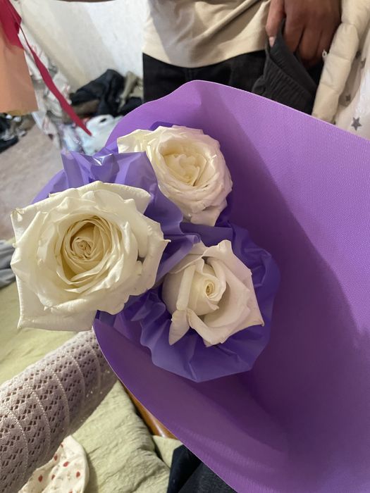 Продается цветы свежие