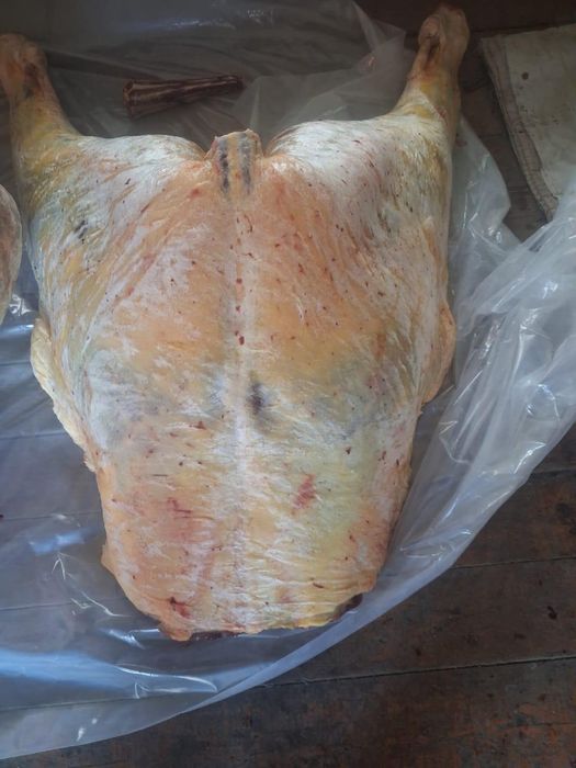 Мясо конина, говядина туша, полтуша