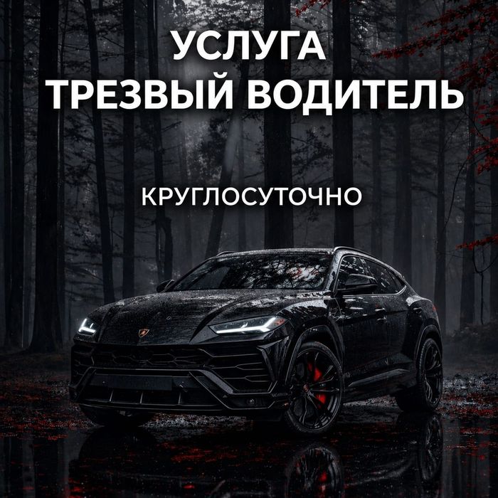 Трезвый Водитель