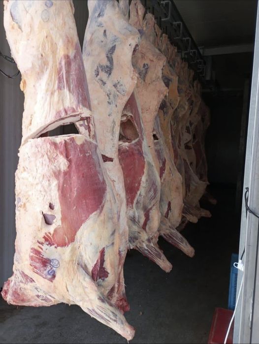 ОПТОМ ХАЛОЛ ГУШТ махсулотлари