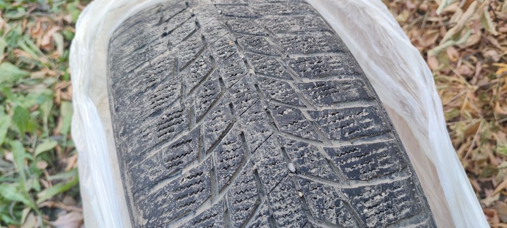 Зимние шины TRIANGLE 215/50 R17 4 шт