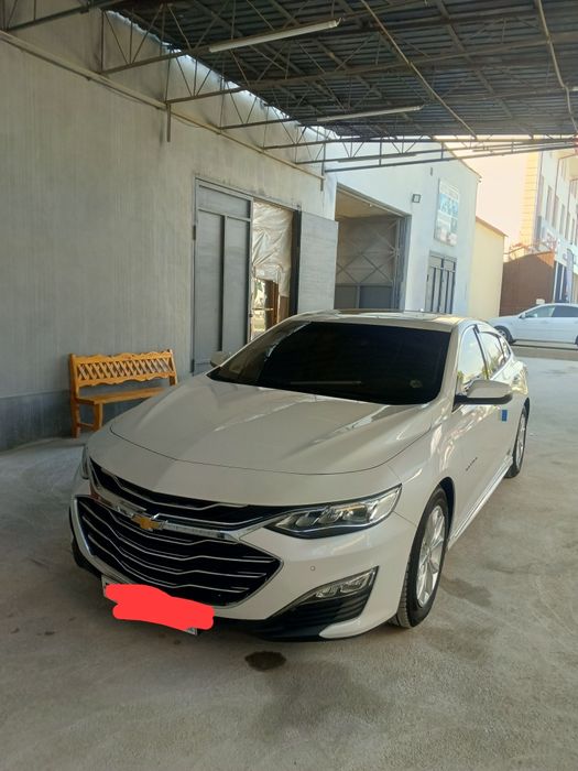 Maluba sotiladi xamma joyi yaxshi