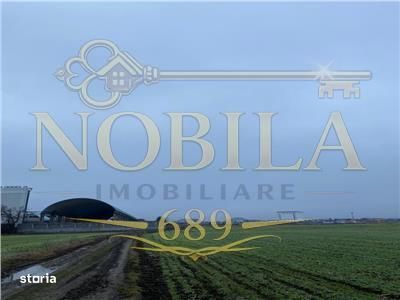 Teren Intravilan 28.000 mp în One?ti – pentru Investi?ii Industri