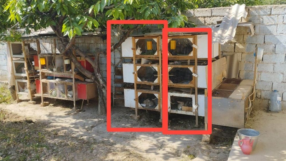 Клетки для кроликов Quyonlar uxhun qafas