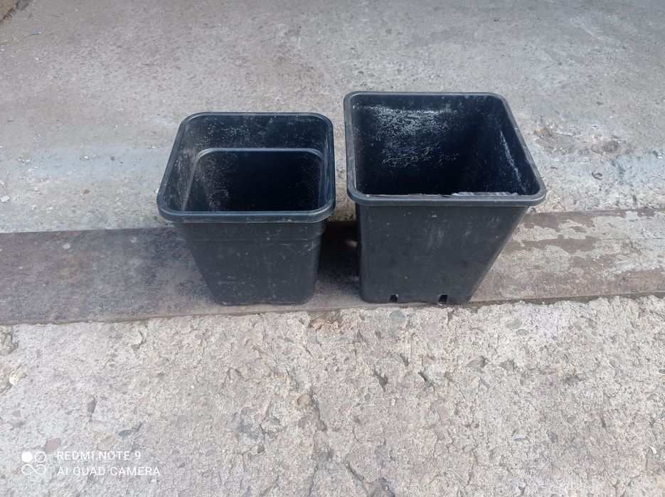 Саксии работни с подложки