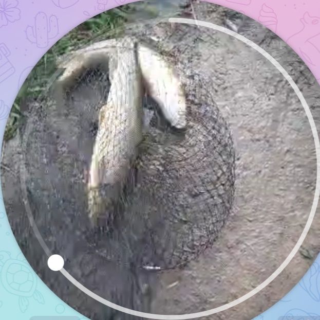 Бизнес учун жой кибрайда Тоза хаво сув буйидан