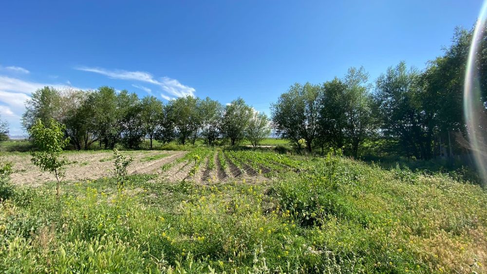 Саманый дом и атомашина