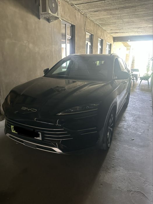 byd chenpion 2024 yil