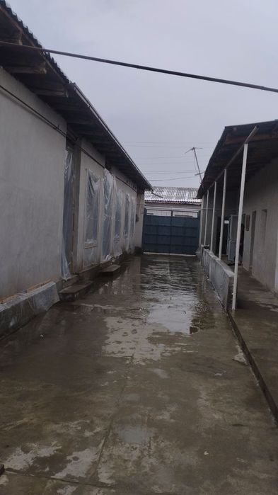 Yangiyol tumanida.Laylak mahalla Uy sotiladi