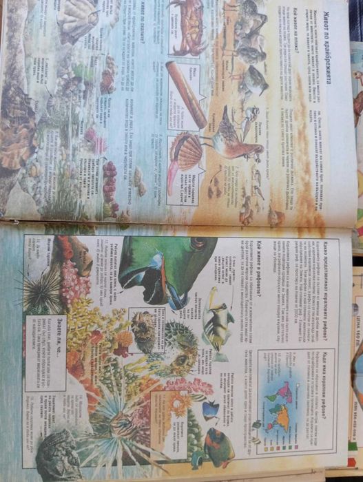 Детски енциклопедии