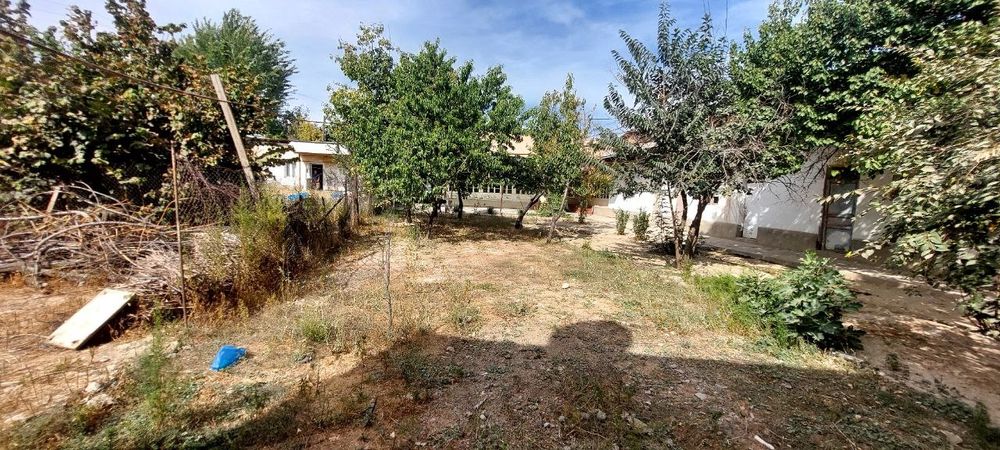 Прадайоса 12 сотик