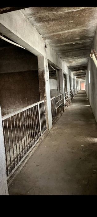 1 гектар 60соток Верхнечирчикский райн  Болта