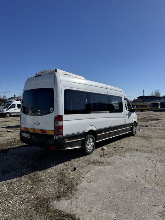 Vand Sprinter 16 + 1 locuri