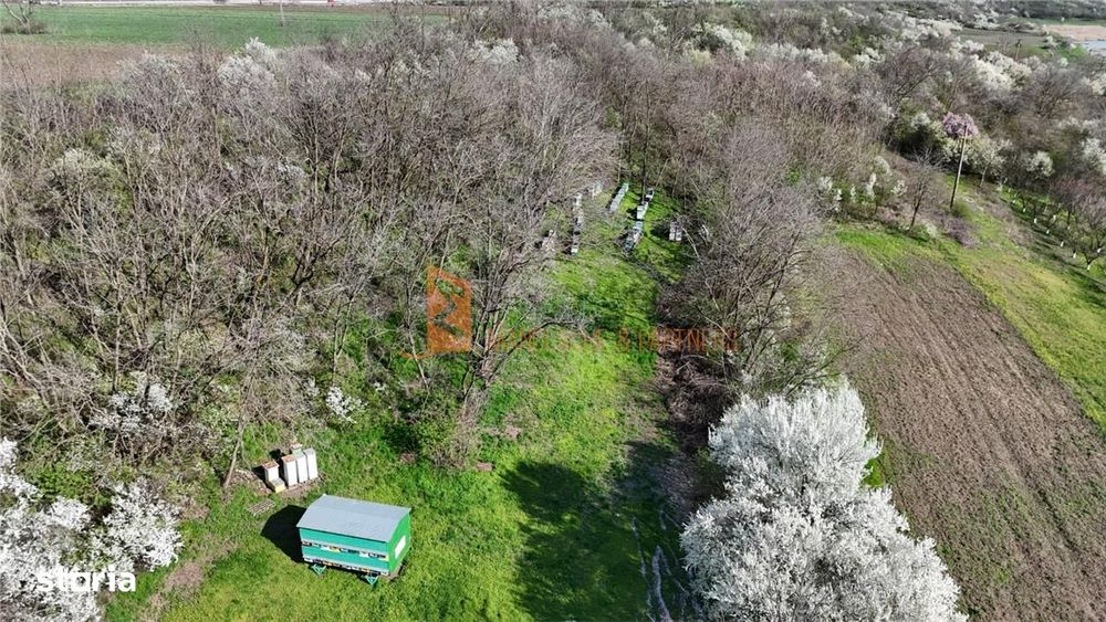 Teren intravilan zona Scurtesti