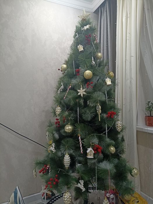 Ёлка за фрукты срочно
