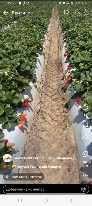 Предлагам ягоди ималини эа всеки земеделец.