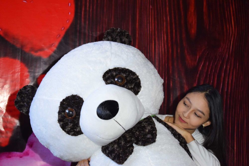 Заказать Мягкие Игрушки Плюшевые Тедди Панда Аю Большие Мишки Сыйлық