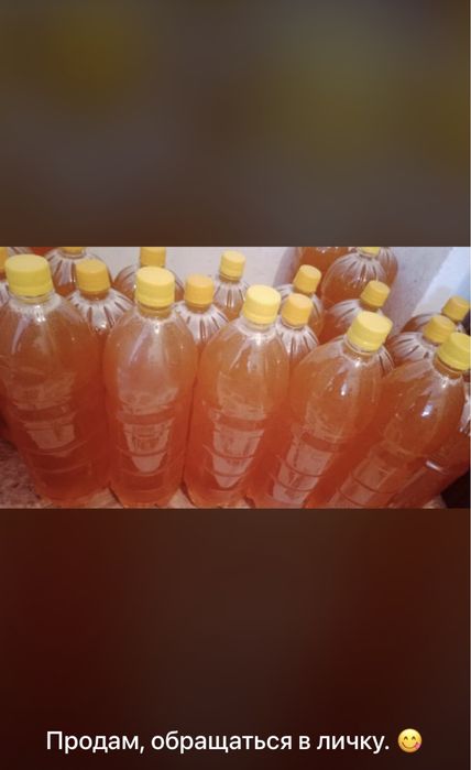 Мёд с Катон-Карагая