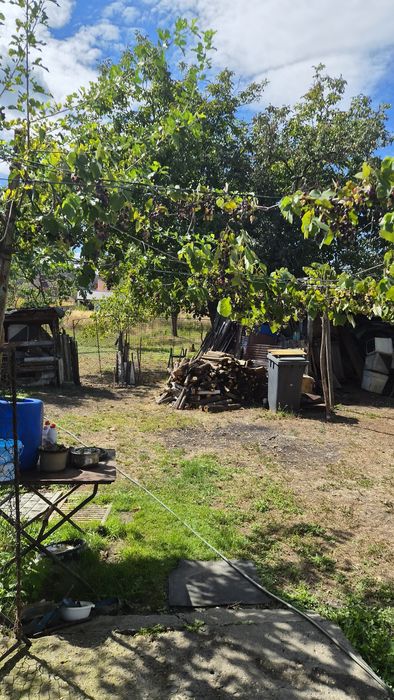 Casa în Branisca