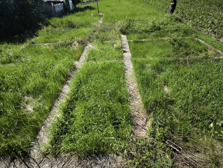 Teren intravilan 800 mp + fundație 135 mp | Roznov, Slobozia – Strada Răculești | Ideal pentru casă
