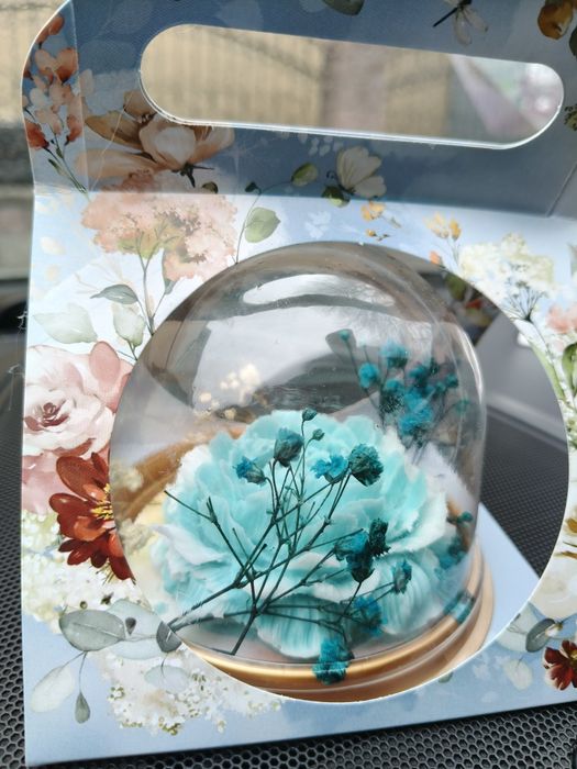 Продам цветок для любимых