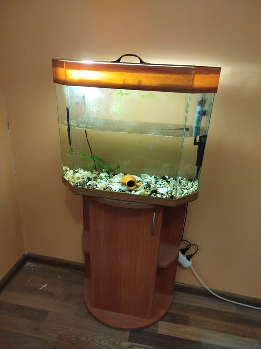 Аквариум със шкаф
