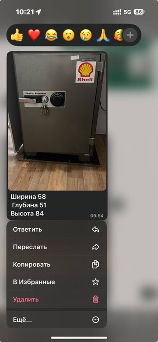 Сейф safeguard 106